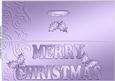 Large Dl Xmas Holly Quick Cut and Fold Card