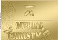 Large Dl Xmas Holly Quick Cut and Fold Card