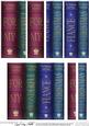 Merry Christmas Fiancé Books Side Stacker Topper