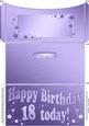 18th Birthday Metallic Age Money or Gift Wallet and Card