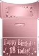 18th Birthday Metallic Age Money or Gift Wallet and Card