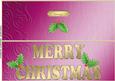 Large Dl Xmas Holly Quick Cut and Fold Card