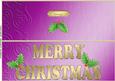 Large Dl Xmas Holly Quick Cut and Fold Card