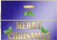 Large Dl Xmas Holly Quick Cut and Fold Card