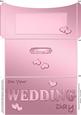 Elegant Wedding Money or Gift Wallet and Card