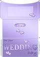 Elegant Wedding Money or Gift Wallet and Card