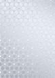 Metallic Snowflakes Vellum Sheet
