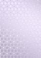 Metallic Snowflakes Vellum Sheet