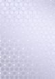 Metallic Snowflakes Vellum Sheet