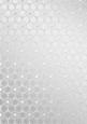 Metallic Snowflakes Vellum Sheet
