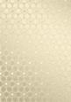 Metallic Snowflakes Vellum Sheet