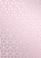 Metallic Snowflakes Vellum Sheet