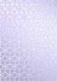 Metallic Snowflakes Vellum Sheet