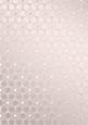 Metallic Snowflakes Vellum Sheet