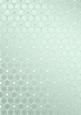 Metallic Snowflakes Vellum Sheet