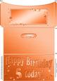 5th Birthday Metallic Age Money or Gift Wallet and Card
