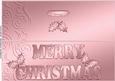 Large Dl Xmas Holly Quick Cut and Fold Card