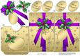 Elegant Christmas Holly Parcel Lottery Wallet Card