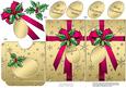 Elegant Christmas Holly Parcel Lottery Wallet Card