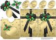 Elegant Christmas Holly Parcel Lottery Wallet Card