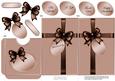 Elegant Gift Parcel Lottery Wallet Card