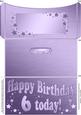 6th Birthday Metallic Age Money or Gift Wallet and Card