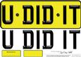 Large Dl You Did It Novelty Number Plate N 3D Decoupage