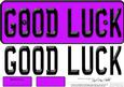Large Dl Good Luck Novelty Number Plate N 3D Decoupage