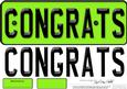 Large Dl Congratulations Novelty Number Plate N 3D Decoupage