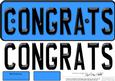Large Dl Congratulations Novelty Number Plate N 3D Decoupage