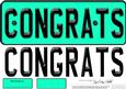 Large Dl Congratulations Novelty Number Plate N 3D Decoupage