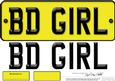 Large Dl Birthday Girl Novelty Number Plate N 3D Decoupage