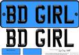 Large Dl Birthday Girl Novelty Number Plate N 3D Decoupage