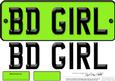 Large Dl Birthday Girl Novelty Number Plate N 3D Decoupage