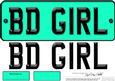 Large Dl Birthday Girl Novelty Number Plate N 3D Decoupage