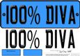 Large Dl 100% Diva Novelty Number Plate N 3D Decoupage