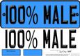 Large Dl 100% Male Novelty Number Plate N 3D Decoupage