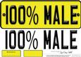 Large Dl 100% Male Novelty Number Plate N 3D Decoupage