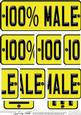 100% Male Novelty Number Plate with Side Stacker