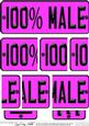 100% Male Novelty Number Plate with Side Stacker