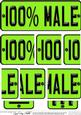100% Male Novelty Number Plate with Side Stacker