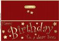 Large Dl Birthday Son Quick Cut and Fold Card