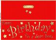 Large Dl Birthday Son Quick Cut and Fold Card