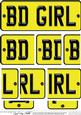 Birthday Girl Novelty Number Plate with Side Stacker
