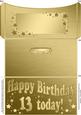 13th Birthday Metallic Age Money or Gift Wallet and Card