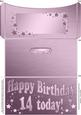 14th Birthday Metallic Age Money or Gift Wallet and Card
