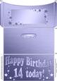 14th Birthday Metallic Age Money or Gift Wallet and Card