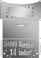 14th Birthday Metallic Age Money or Gift Wallet and Card