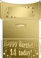 14th Birthday Metallic Age Money or Gift Wallet and Card