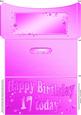 17th Birthday Metallic Age Money or Gift Wallet and Card